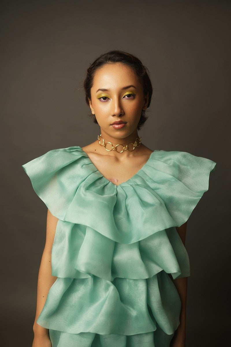 Ruffled Organza dress
