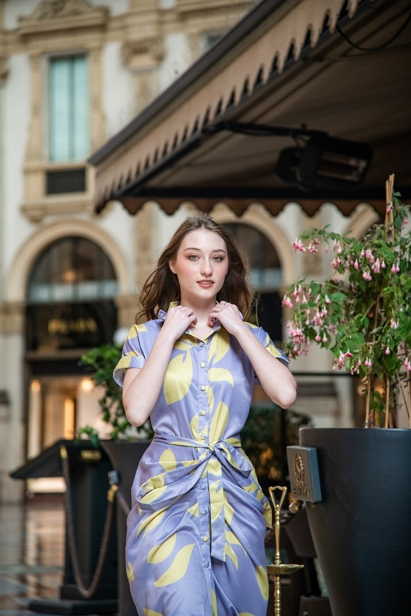 Printed Grey Dress