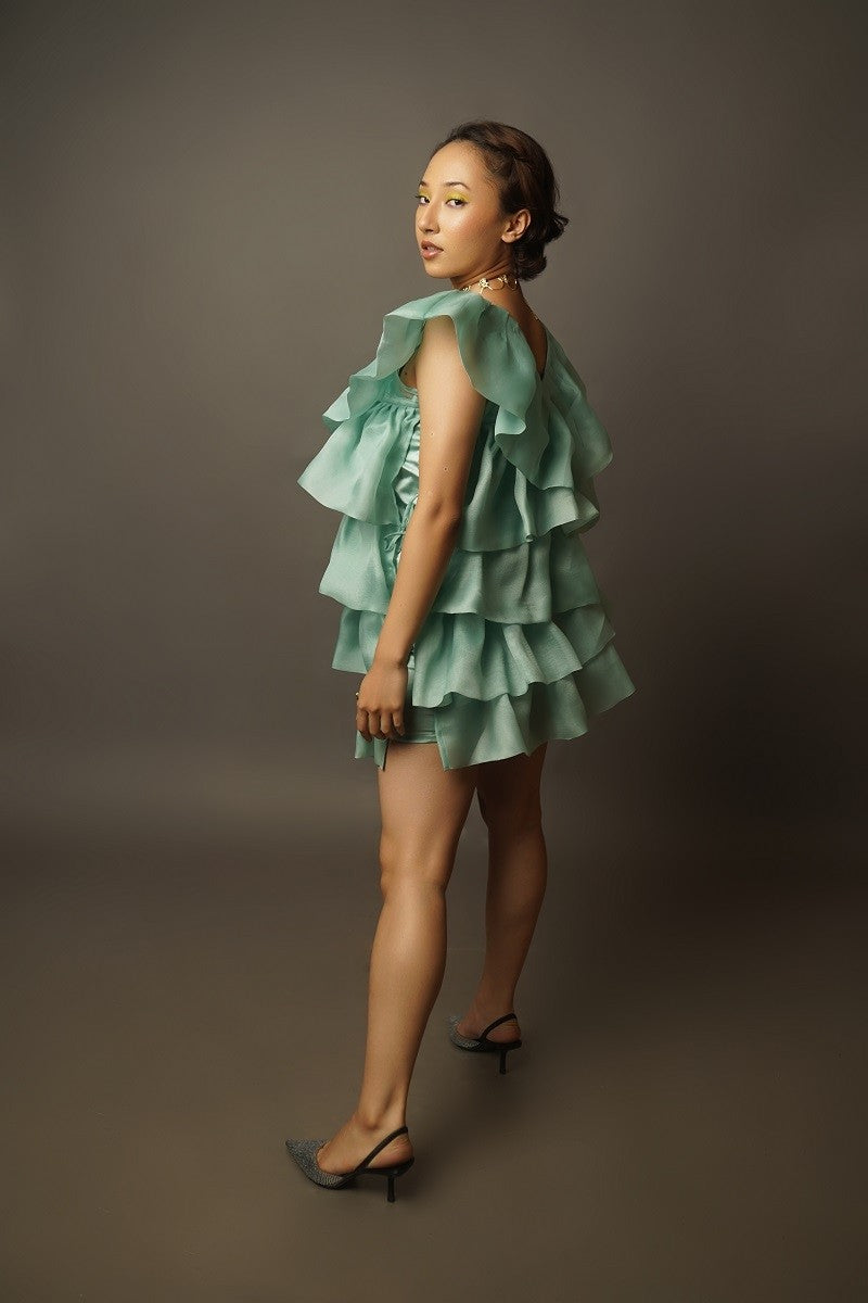 Ruffled Organza dress