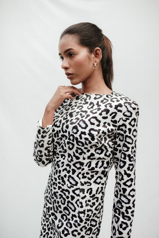 Leopard Print Velvet Dress